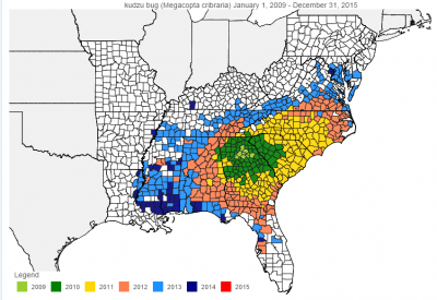 map of kudzu bugs in the southeast